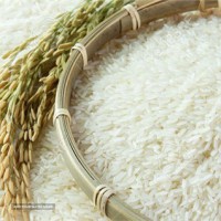 عرضه و فروش انواع برنج ایرانی