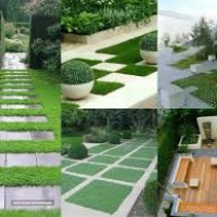 طراحی فضای سبز منازل و ادارات