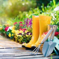 مشاوره امور باغبانی و گیاه پزشکی