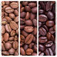 فروش عمده دانه قهوه - قهوه پالس