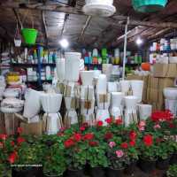 فروش انواع گلدان سفالی - گلسرای سپهر
