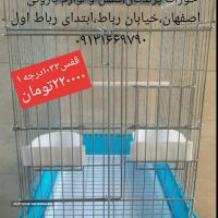 قفس حرفه ای در اصفهان