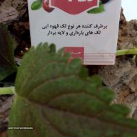فروش کرم صابون ضد لک در اصفهان