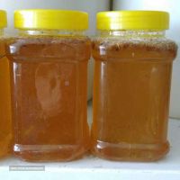 فروش انواع عسل طبیعی در اصفهان