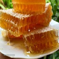 فروش انواع عسل طبیعی