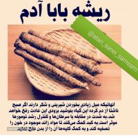 فروش ریشه باباآدم در اصفهان