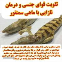 ماهی سمنقور در اصفهان