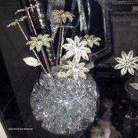 فروش انواع  گل نقره 