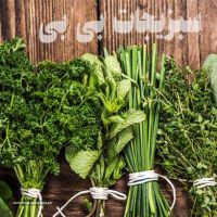 فروش سبزیجات تازه در اصفهان