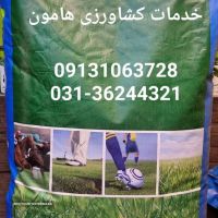 فروش بذر چمن اسپرت در اصفهان