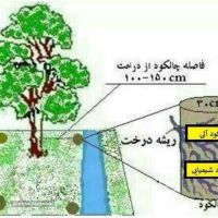خرید کود آلی و شیمیایی برای درختان دراصفهان