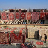 خدمات کارخانه قالیشویی شیخ طوسی در ۲۴متری 