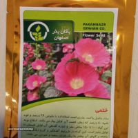 فروش بذر گل ختمی در اصفهان