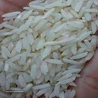 قیمت و خرید برنج هاشمی فریدونکنار در اصفهان