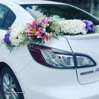 خدمات ماشین عروس در اصفهان