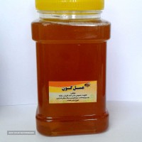خواص شگفت انگیز عسل گون برای پوست 