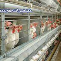 فروش تجهیزات مرغداری تخمگذار در اصفهان