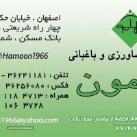 فروش سمپاش موتوری بنزینی ۵۰ لیتری در اصفهان