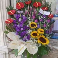 خرید/قیمت/فروش باکس گل سوپرایز تولد در اصفهان