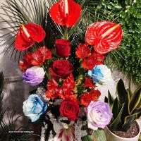 تزیین انواع باکس  گل طبیعی در گل جزیره اصفهان