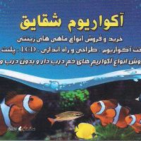 فروش لوازم و تجهیزات آکواریوم در خیابان رباط اصفهان