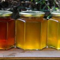 انواع عسل گیاهی و دارویی - محصولات ارگانیک ریحان