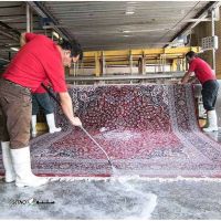 شستشوی فرش ، تابلو فرش در شیراز بلوار کریم خان زند