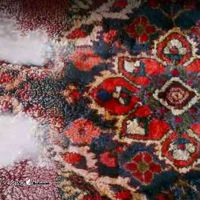 تعمیر انواع فرش (ماشینی و دستباف) در شیراز بلوار نصر
