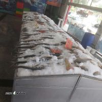 فروش ویژه انواع ماهی جنوب به صورت تازه در اصفهان 