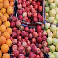 فروش انواع میوه با قیمت مناسب