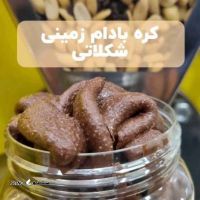 تولید کره بادام زمینی شکلاتی / اردیبهشت / آذر