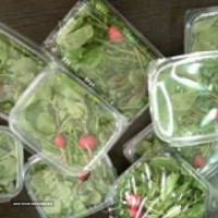 سبزیجات بسته بندی 