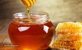 لبنیات نگین شهریار