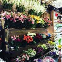 گل فروشی در خیابان فروغی 
