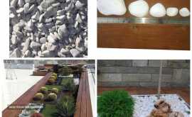 inCollage_20200426_121611818