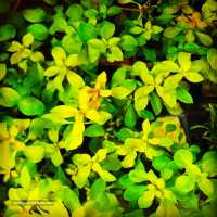 IMG_20201215_141655_140