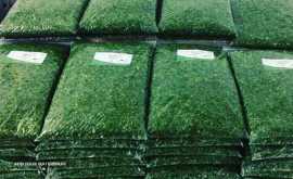 سبزیجات آماده طبخ گشنیز (فدک سابق)