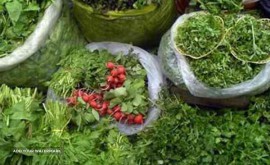 سبزیجات آماده طبخ ولیعصر