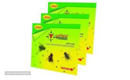 چسب مگس کتابی