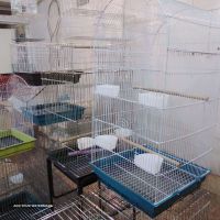 فروش انواع قفس پرنده در اصفهان