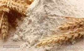 بهبود دهندگان نان پویش