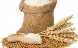 بهبود دهندگان نان پویش