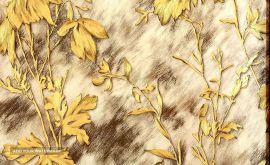 کاغذ دیواری در اصفهان