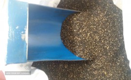 15383812849171672996962