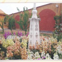 توایدکننده انحصاری خمیر زیبا ساز آریسا  در اصفهان