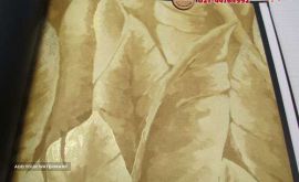 کاغذ دیواری در اصفهان