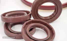 Oil-Seals-705x588