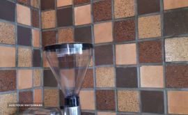 IMG-20210704-WA0005