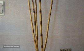 photo_۲۰۱۸-۰۲-۱۳_۲۱-۰۰-۱۲