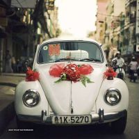 سفارش آنلاین تزیین ماشین عروس در بهارستان